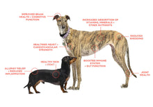 Load image into Gallery viewer, Salmon Says Crunchy Treats