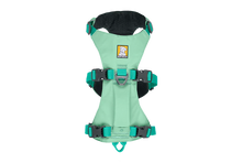 Load image into Gallery viewer, Flagline Dog Harness