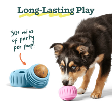 Load image into Gallery viewer, Pupsicle Refills: Birthday Pops