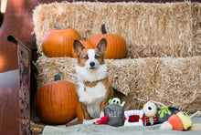 Load image into Gallery viewer, Howling Haunts