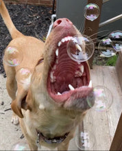 Load image into Gallery viewer, Bubble Treats