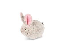 Load image into Gallery viewer, Forest Friends