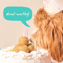 Load image into Gallery viewer, Pupsicle Refills: Birthday Pops