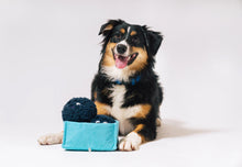 Load image into Gallery viewer, Picked Fresh