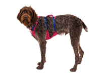 Load image into Gallery viewer, Flagline Dog Harness