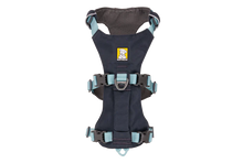Load image into Gallery viewer, Flagline Dog Harness