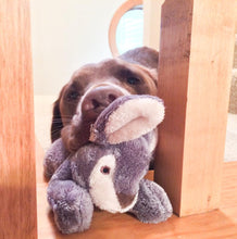 Load image into Gallery viewer, Jessica Bunny