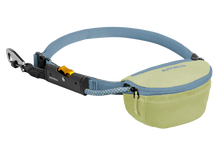 Load image into Gallery viewer, Hitch Hiker Leash & Hitch