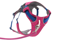 Load image into Gallery viewer, Flagline Dog Harness