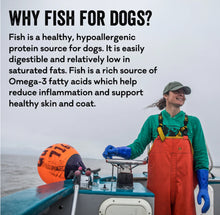 Load image into Gallery viewer, Clam Chowder Crunchy Bits