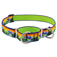 Load image into Gallery viewer, Lupine Martingale Collar 1in