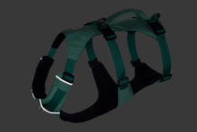 Load image into Gallery viewer, Flagline Dog Harness