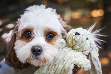 Load image into Gallery viewer, Barnyard HuggleFlatties
