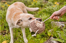 Load image into Gallery viewer, Forest Friends