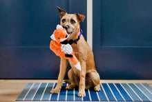 Load image into Gallery viewer, Forest Friends