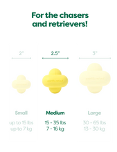 Load image into Gallery viewer, Earth Rated Fetch