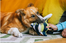 Load image into Gallery viewer, Ocean Buddies