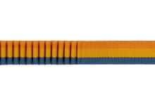 Load image into Gallery viewer, Roamer Leash