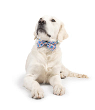 Load image into Gallery viewer, Happy Got Me Day Bow Tie