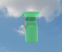 Load image into Gallery viewer, Springer Travel Bottle Mini