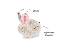 Load image into Gallery viewer, Forest Friends