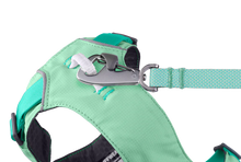 Load image into Gallery viewer, Flagline Dog Harness