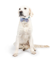 Load image into Gallery viewer, Happy Got Me Day Bow Tie