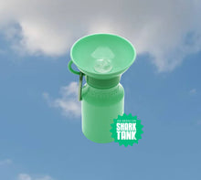 Load image into Gallery viewer, Springer Travel Bottle Mini