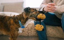 Load image into Gallery viewer, Pup Cup Cafe Mini