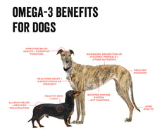 Load image into Gallery viewer, Polkadog Codskin Shorties Bag