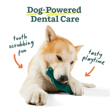 Load image into Gallery viewer, Bite n’ Brush