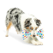 Load image into Gallery viewer, It’s my Barkday Bone
