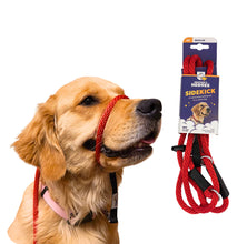 Load image into Gallery viewer, Sidekick Gentle Leader