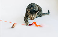 Load image into Gallery viewer, Feline Frenzy Wand Toy