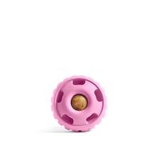 Load image into Gallery viewer, The Pupsicle