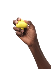 Load image into Gallery viewer, Earth Rated Fetch