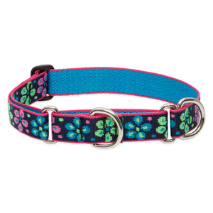 Lupine Martingale Collar 1in