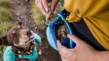 Load image into Gallery viewer, Home Trail Hip Pack