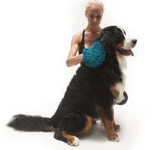 Load image into Gallery viewer, Microfiber Grooming Mitt