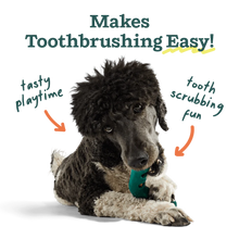 Load image into Gallery viewer, Bite n’ Brush refills