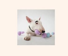 Load image into Gallery viewer, Dog Tennis Balls Pack of 4