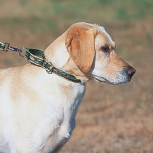 Load image into Gallery viewer, Lupine Martingale Collar 1in