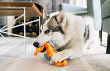 Load image into Gallery viewer, Ocean Buddies