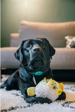 Load image into Gallery viewer, Ocean Buddies