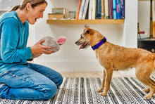 Load image into Gallery viewer, Forest Friends