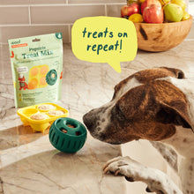 Load image into Gallery viewer, Bacon and Cheese Pupsicle Treat Mix