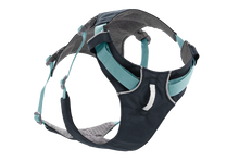 Load image into Gallery viewer, Flagline Dog Harness