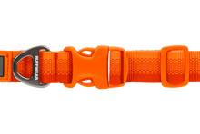 Load image into Gallery viewer, Front Range Collar