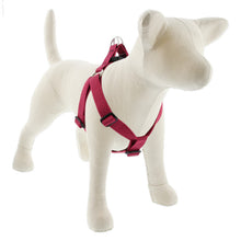 Load image into Gallery viewer, Lupine ECO 1” Step-In Harness
