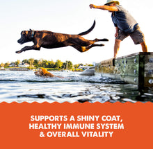 Load image into Gallery viewer, Wild Alaskan Salmon Plus Supplement